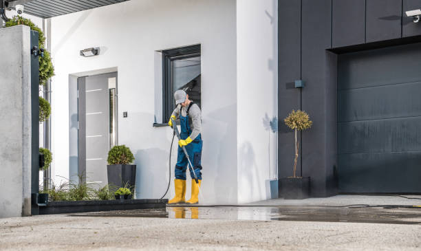 Best Pre-Holiday Cleaning  in Harlem Heights, FL